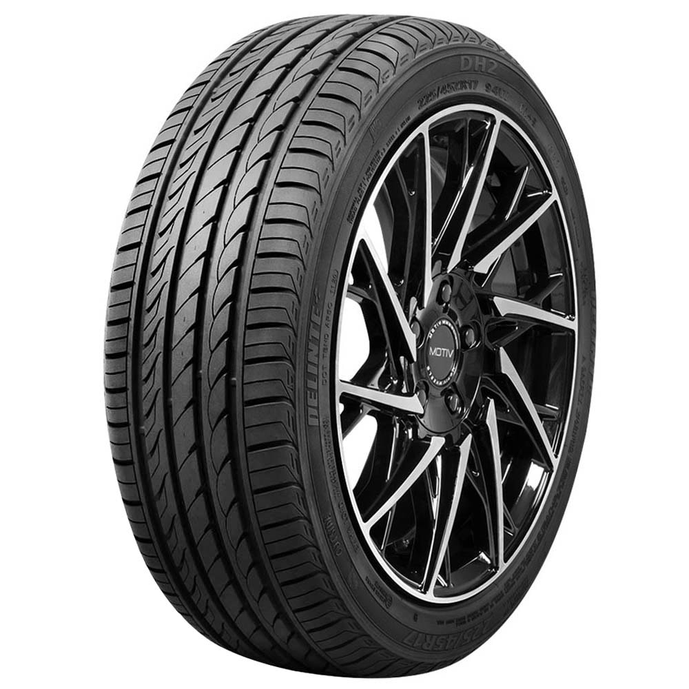 Pneu 205/50R17 Delinte DH2 93W